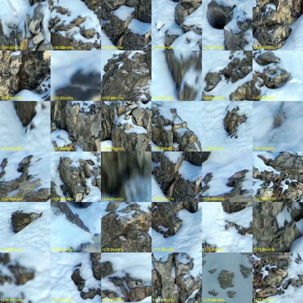 montage_04.jpg