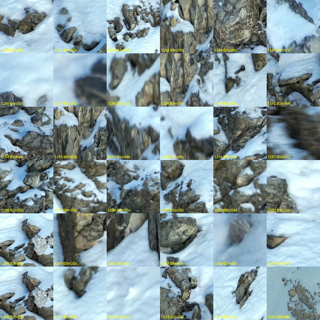 montage_05.jpg