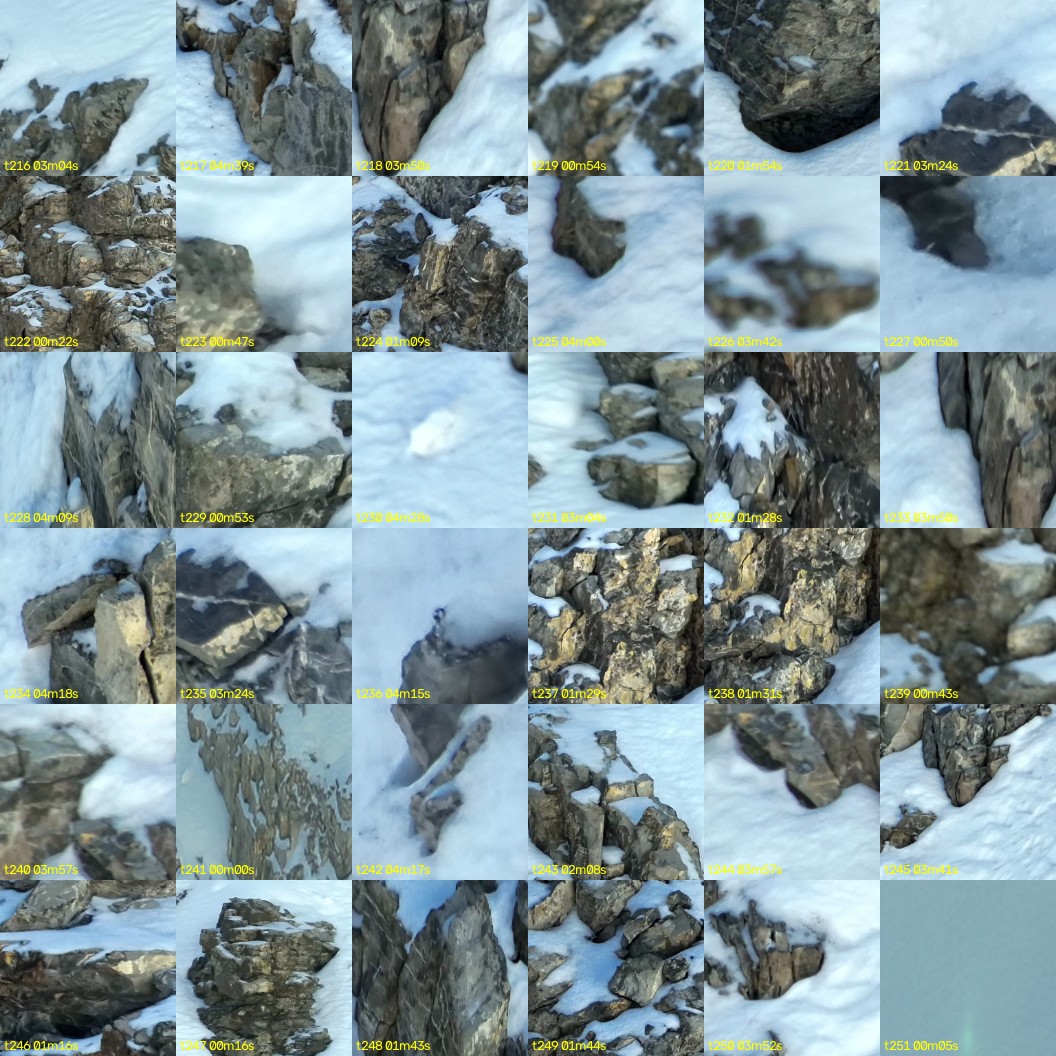 montage_06.jpg