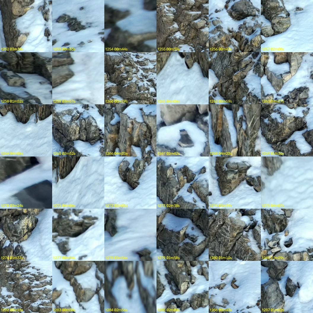 montage_07.jpg