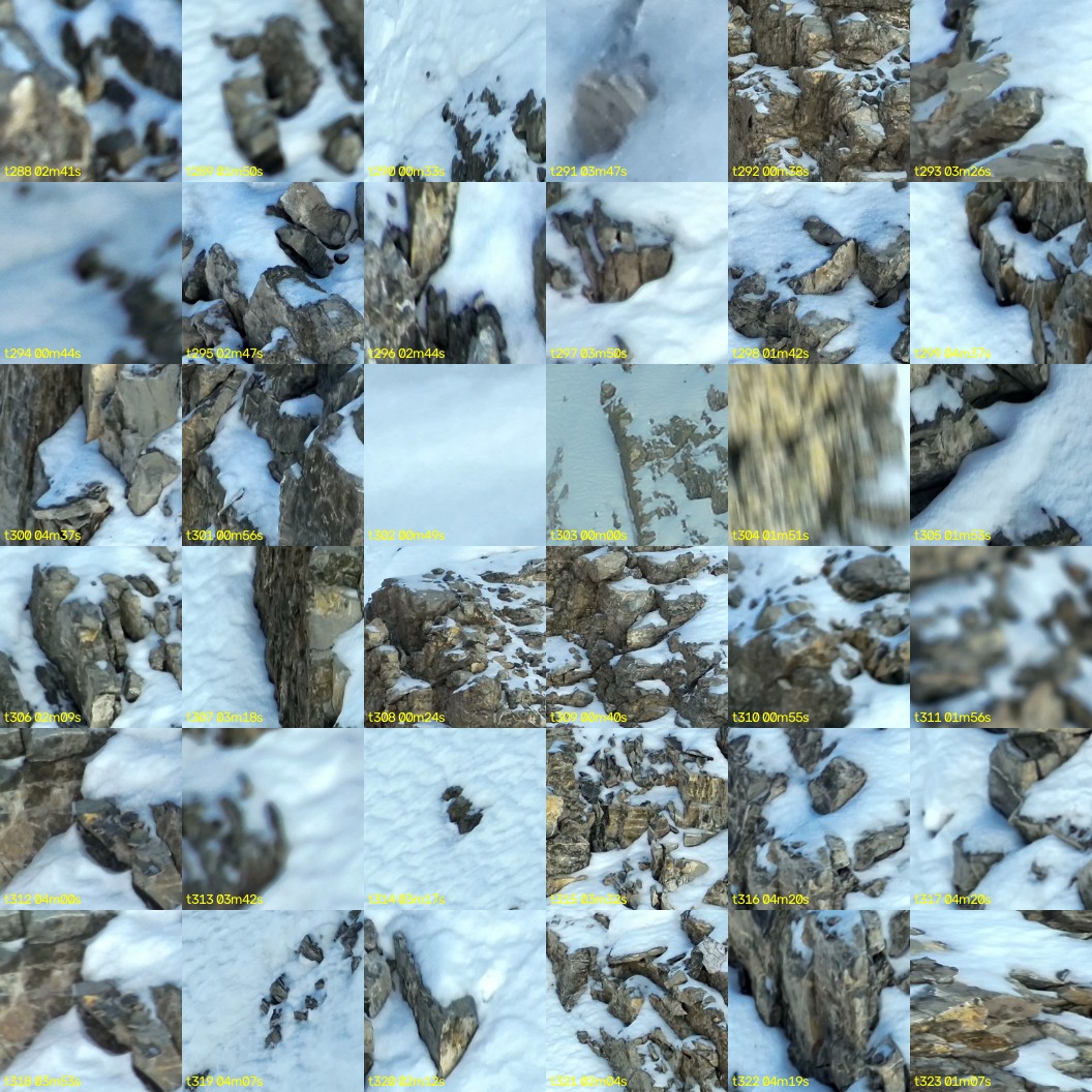 montage_08.jpg