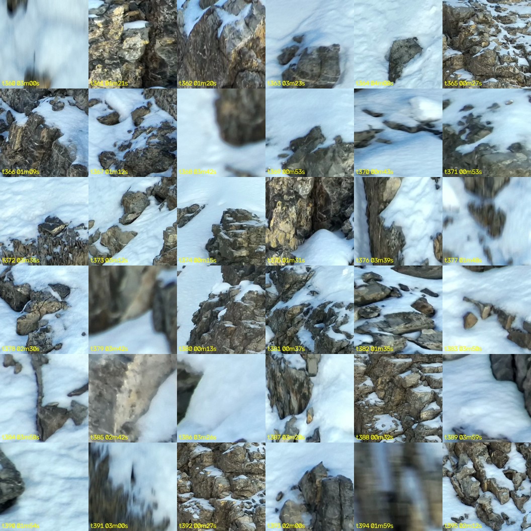 montage_10.jpg