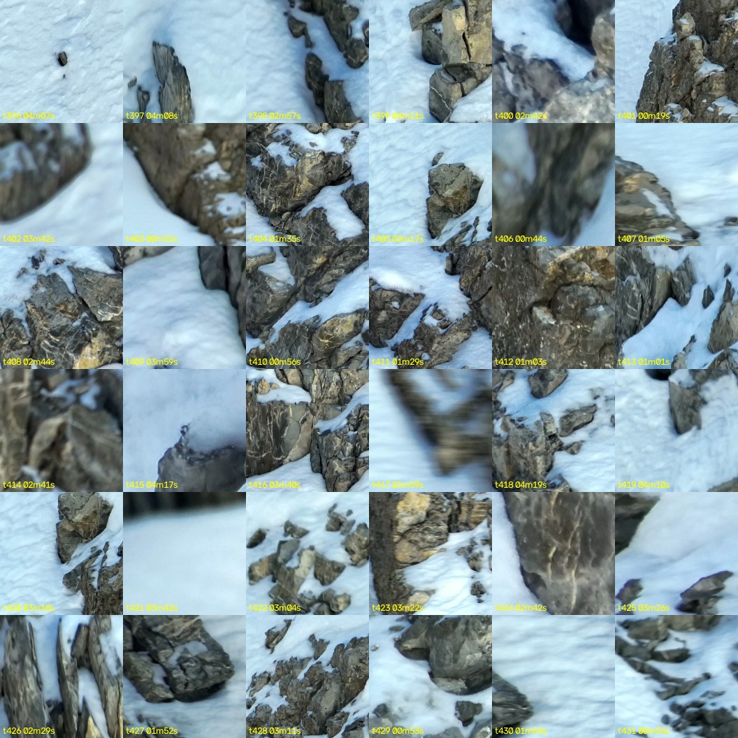 montage_11.jpg