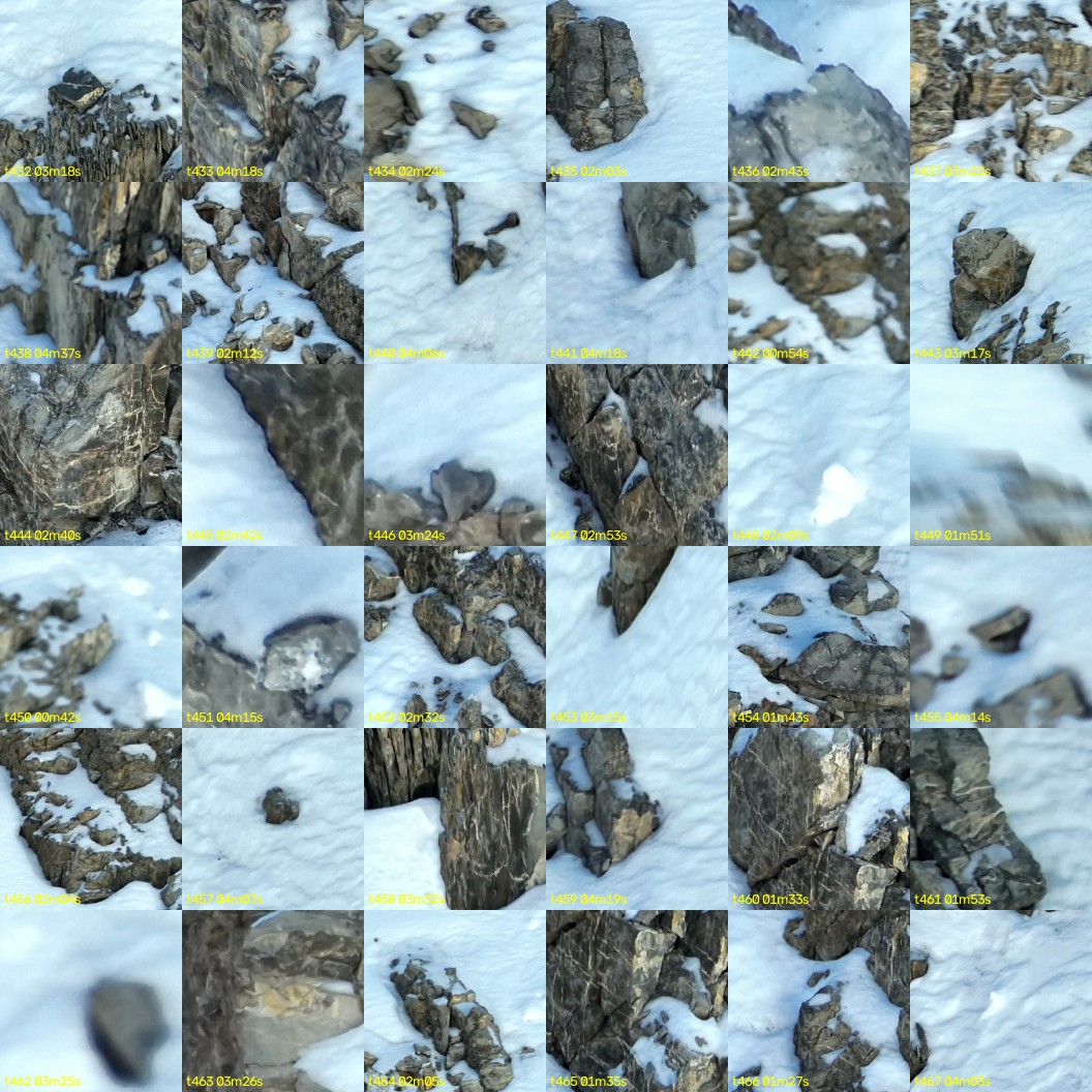 montage_12.jpg