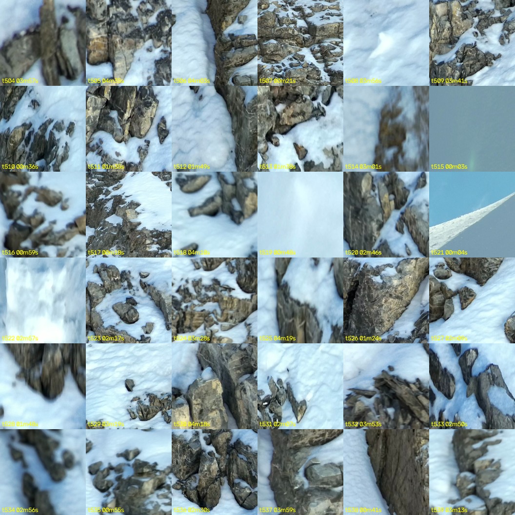 montage_14.jpg