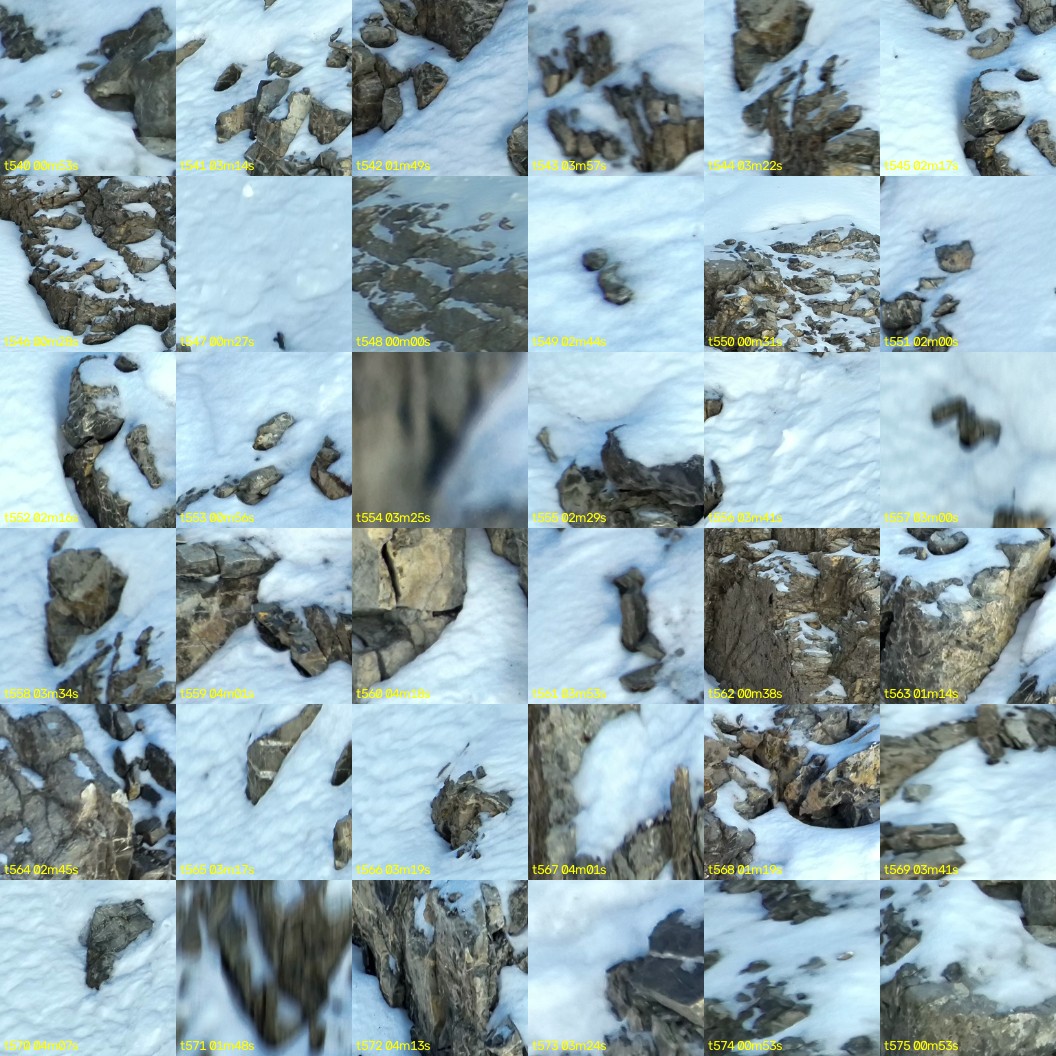 montage_15.jpg