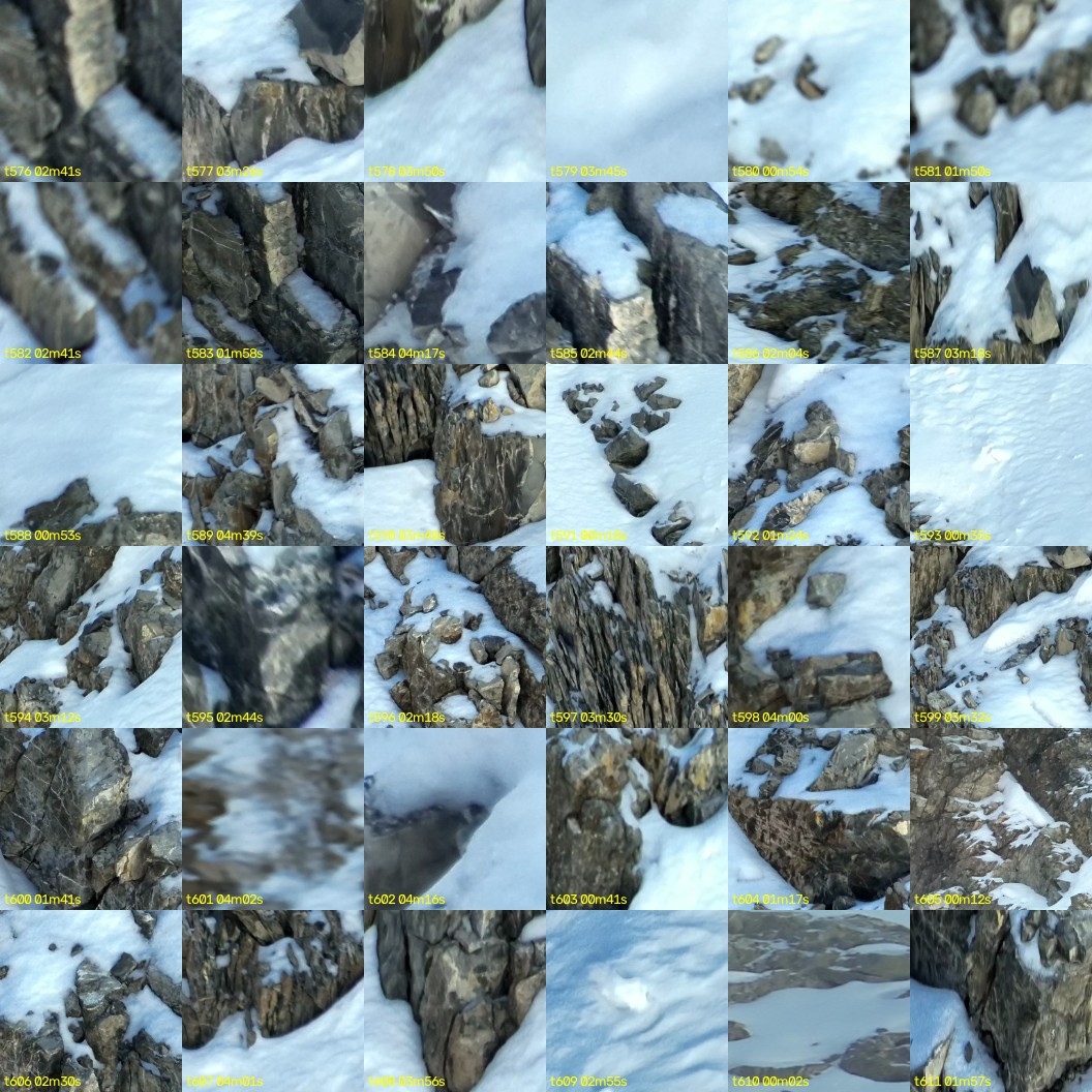 montage_16.jpg