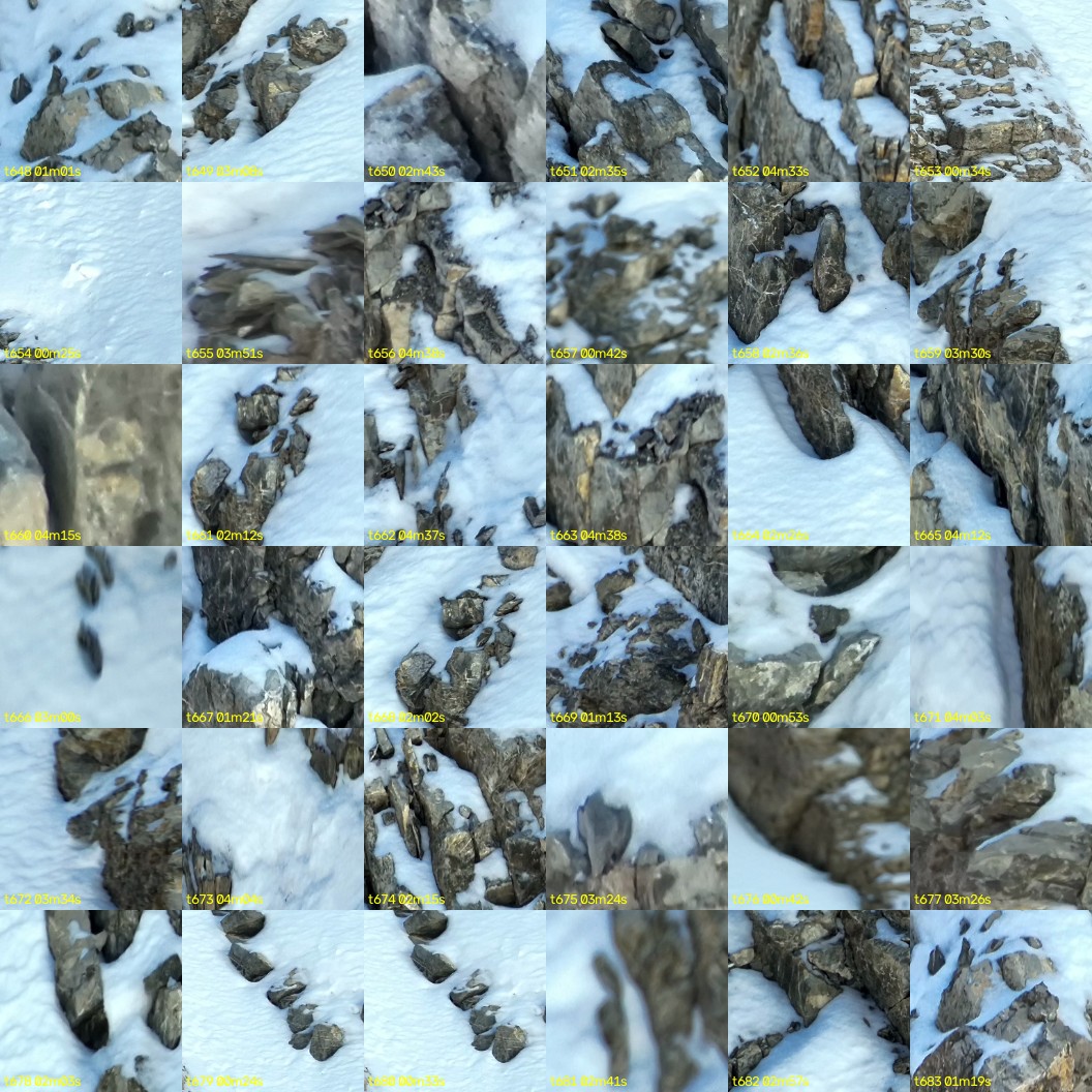 montage_18.jpg