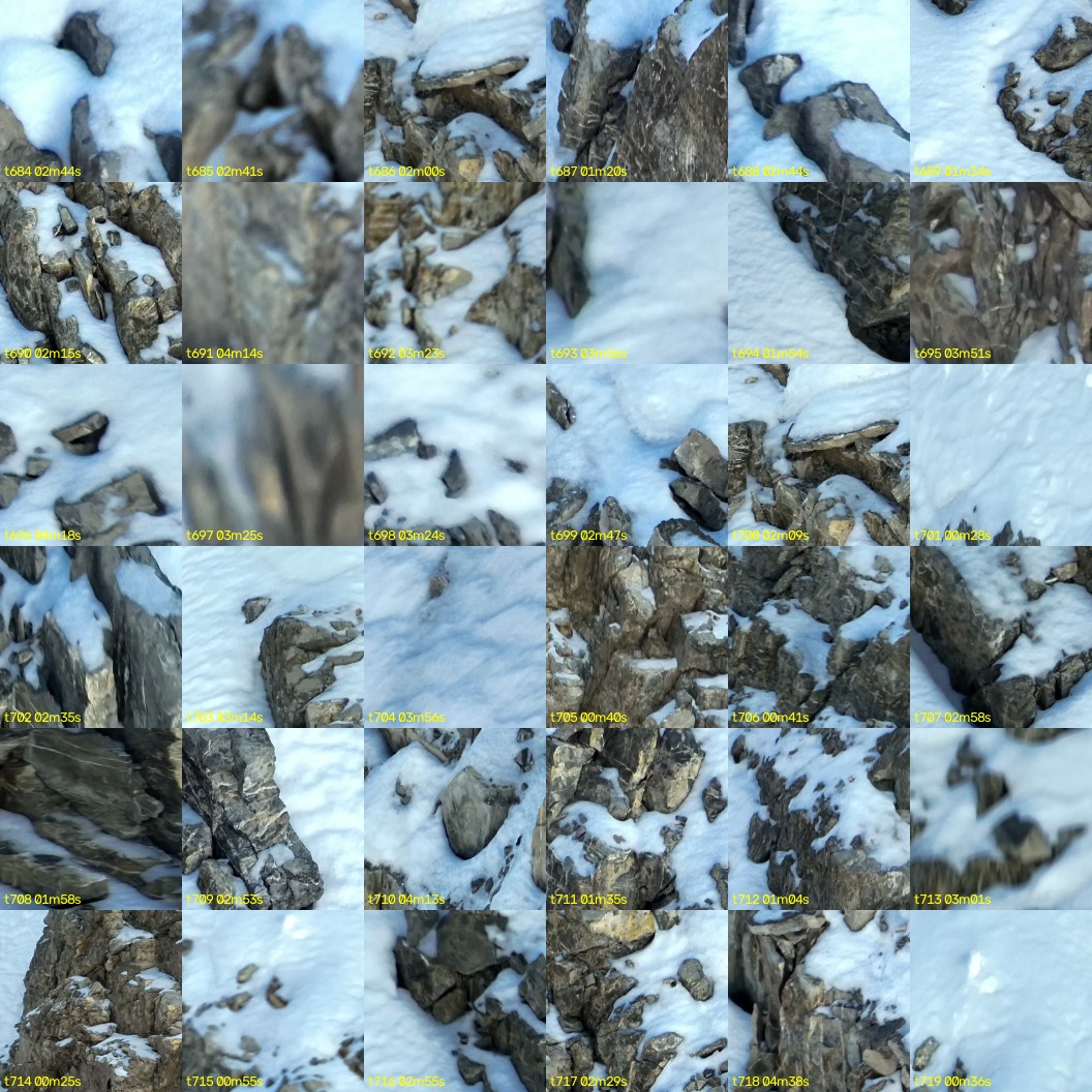 montage_19.jpg