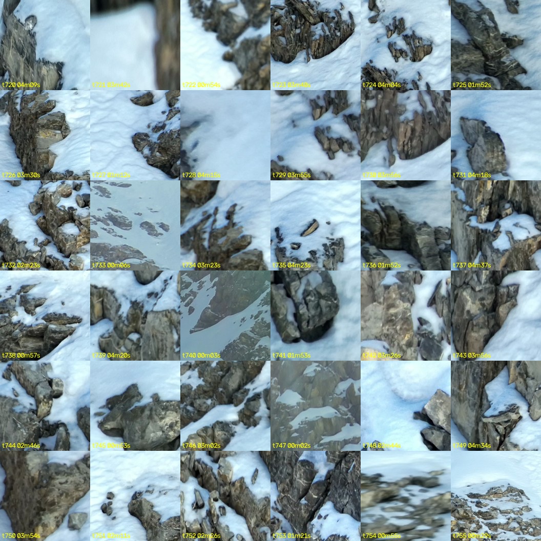 montage_20.jpg
