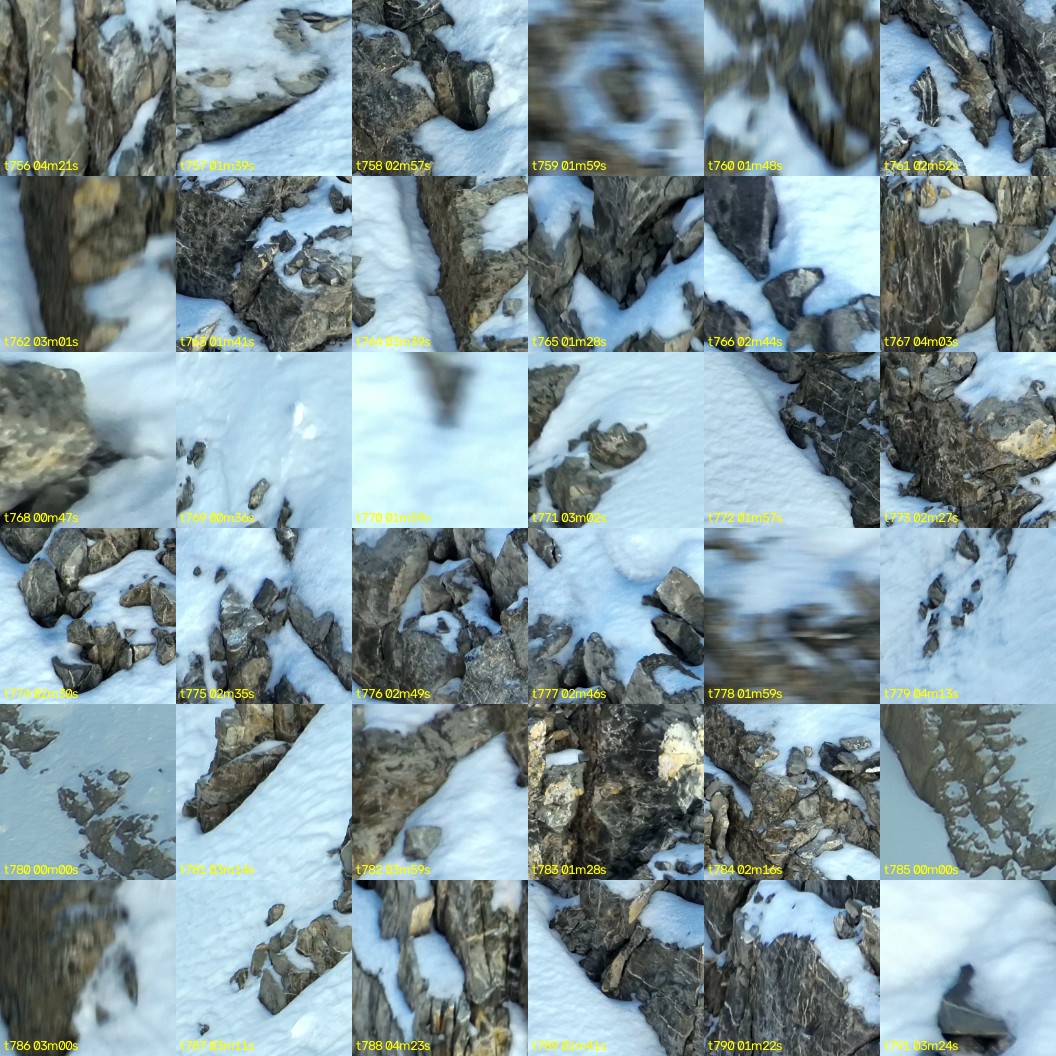 montage_21.jpg