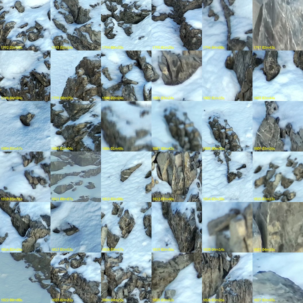 montage_22.jpg