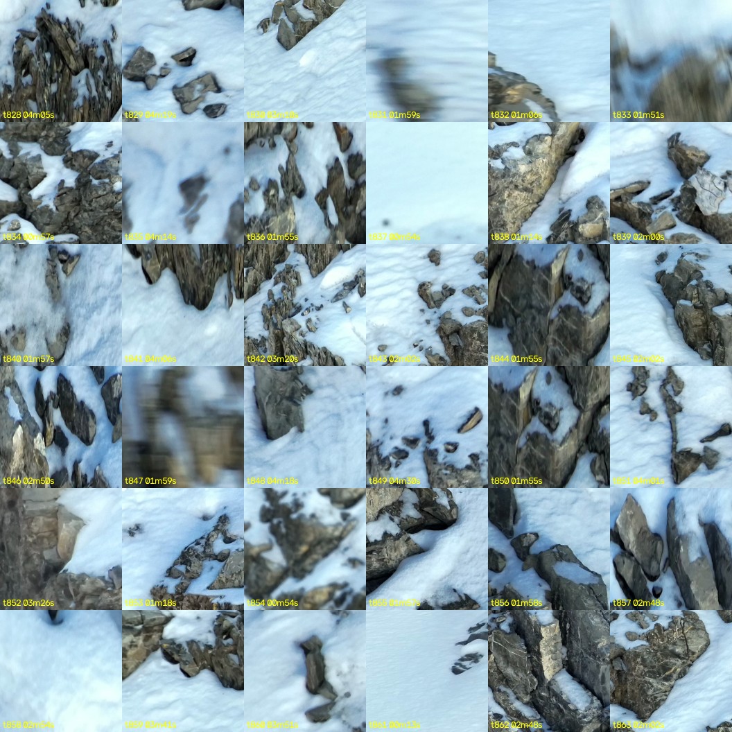 montage_23.jpg