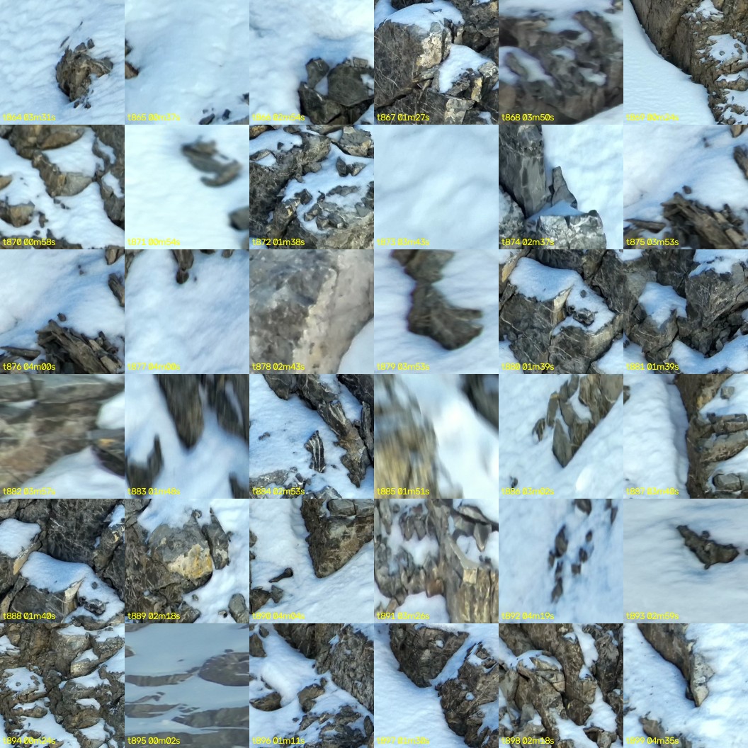 montage_24.jpg