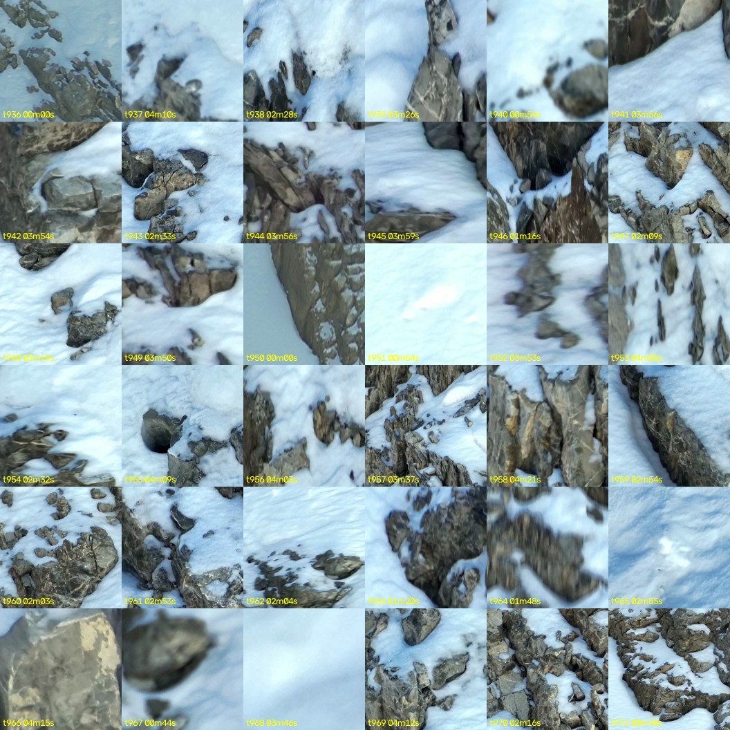montage_26.jpg