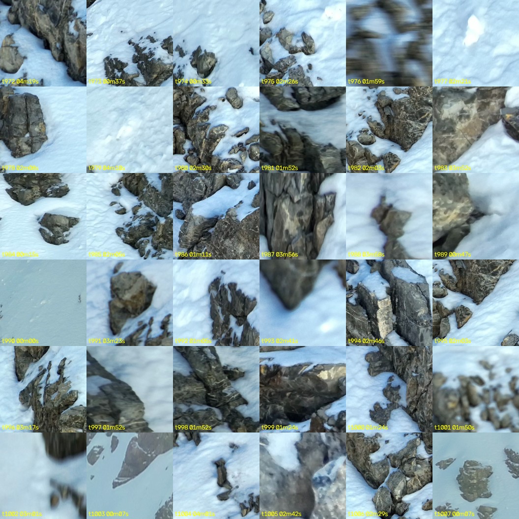 montage_27.jpg