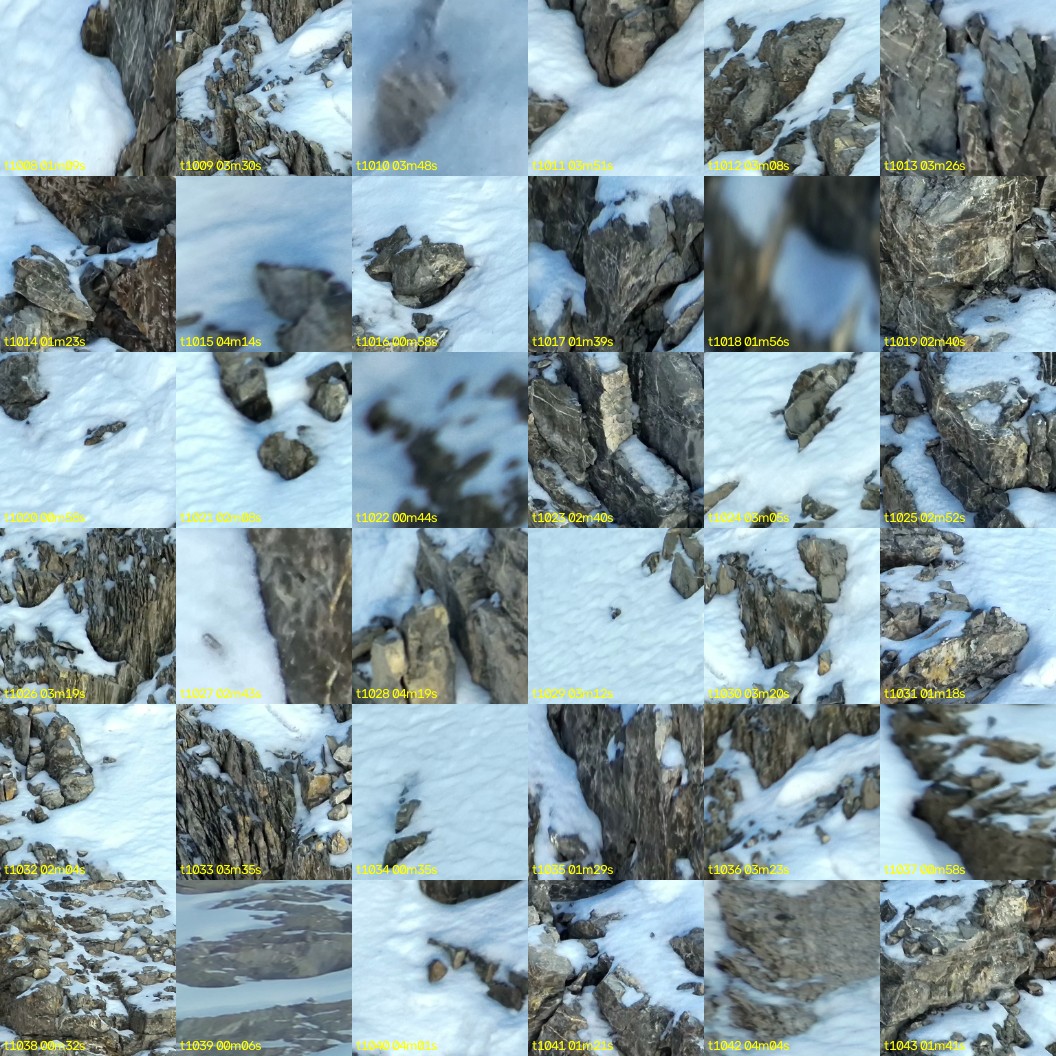 montage_28.jpg