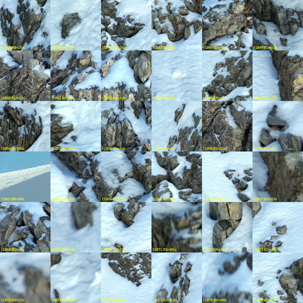 montage_29.jpg