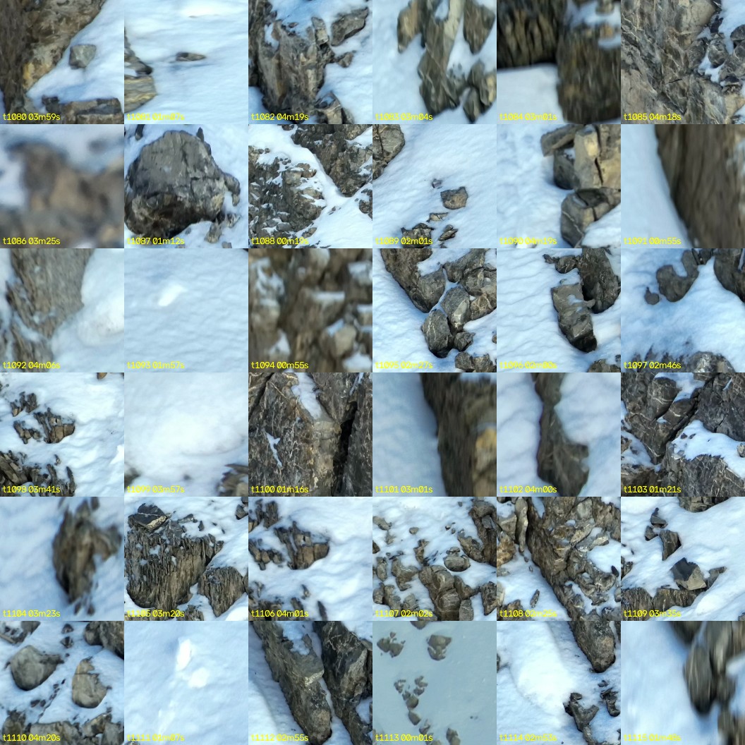 montage_30.jpg