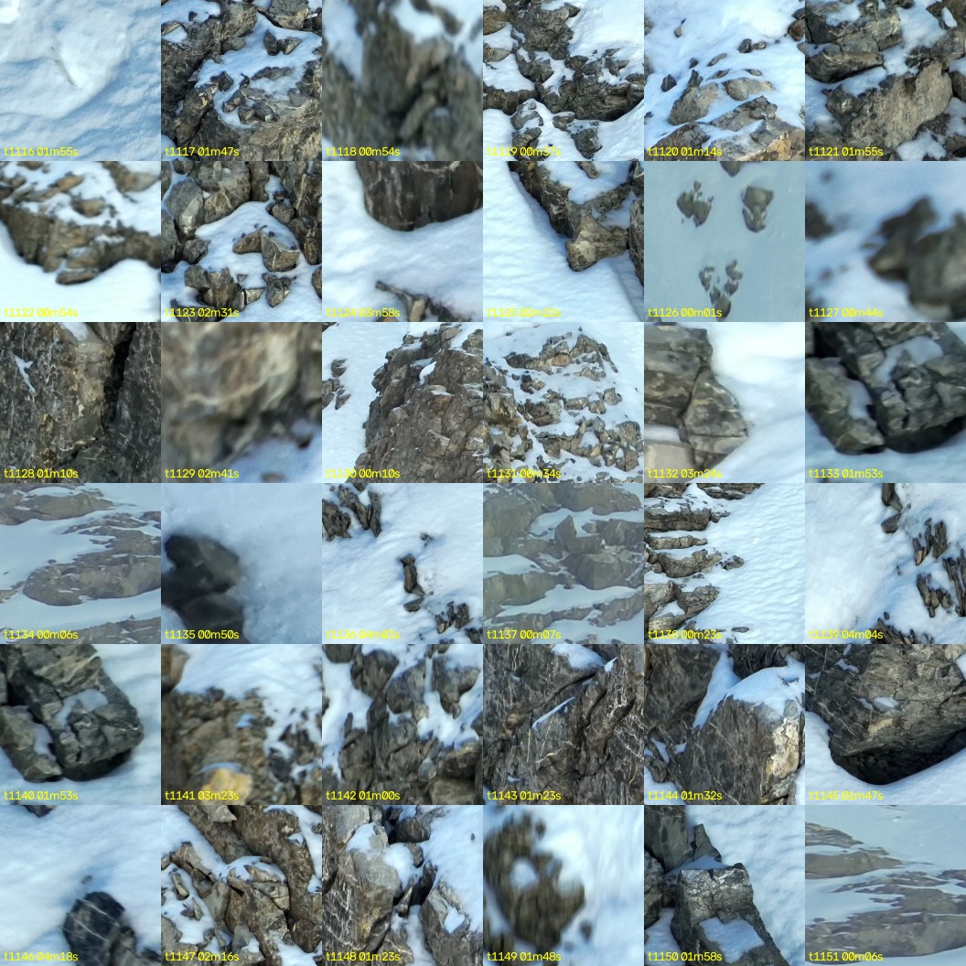 montage_31.jpg