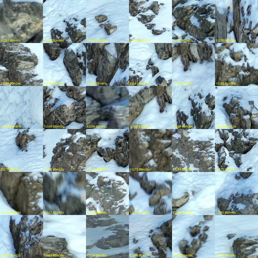 montage_32.jpg
