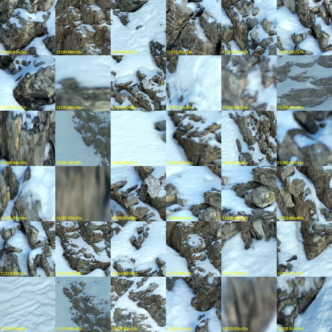 montage_33.jpg