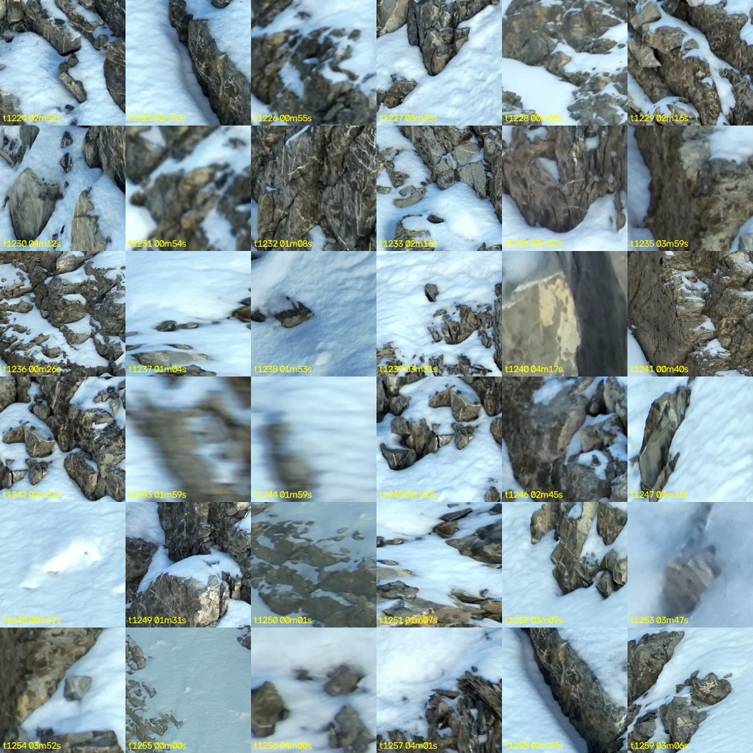 montage_34.jpg