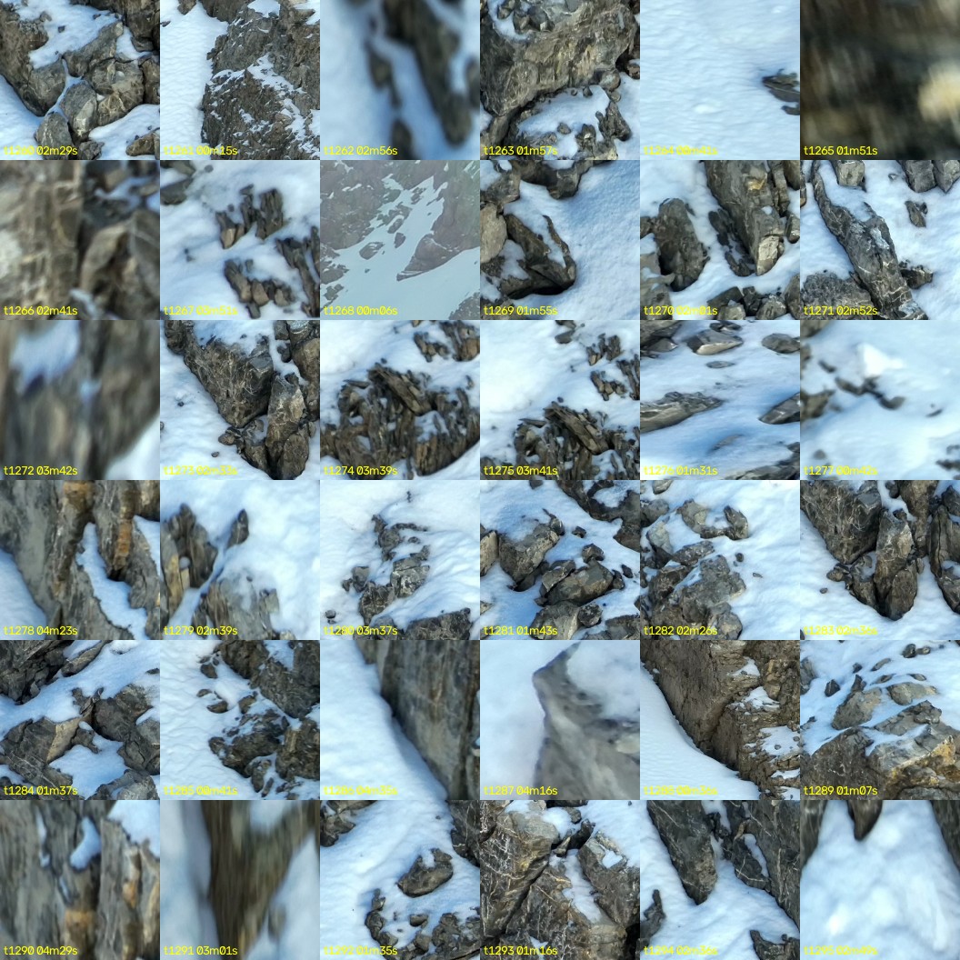 montage_35.jpg