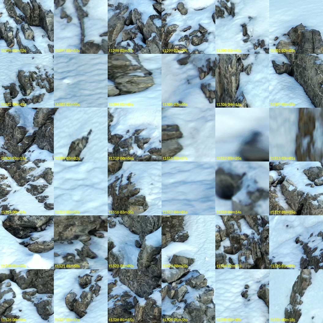 montage_36.jpg
