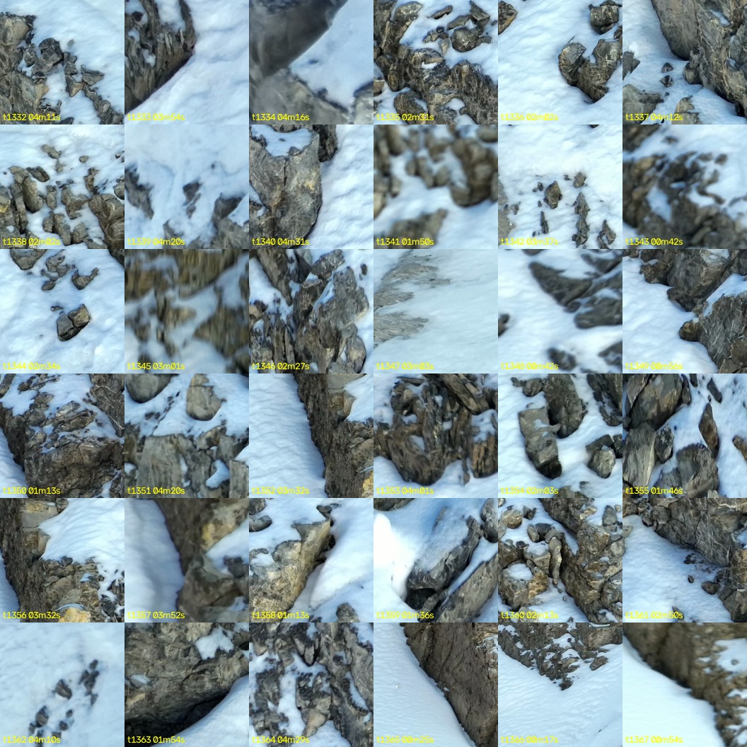 montage_37.jpg