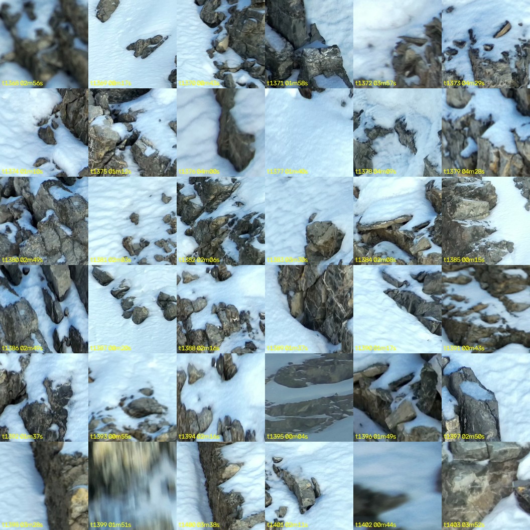montage_38.jpg