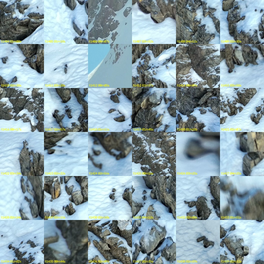 montage_39.jpg