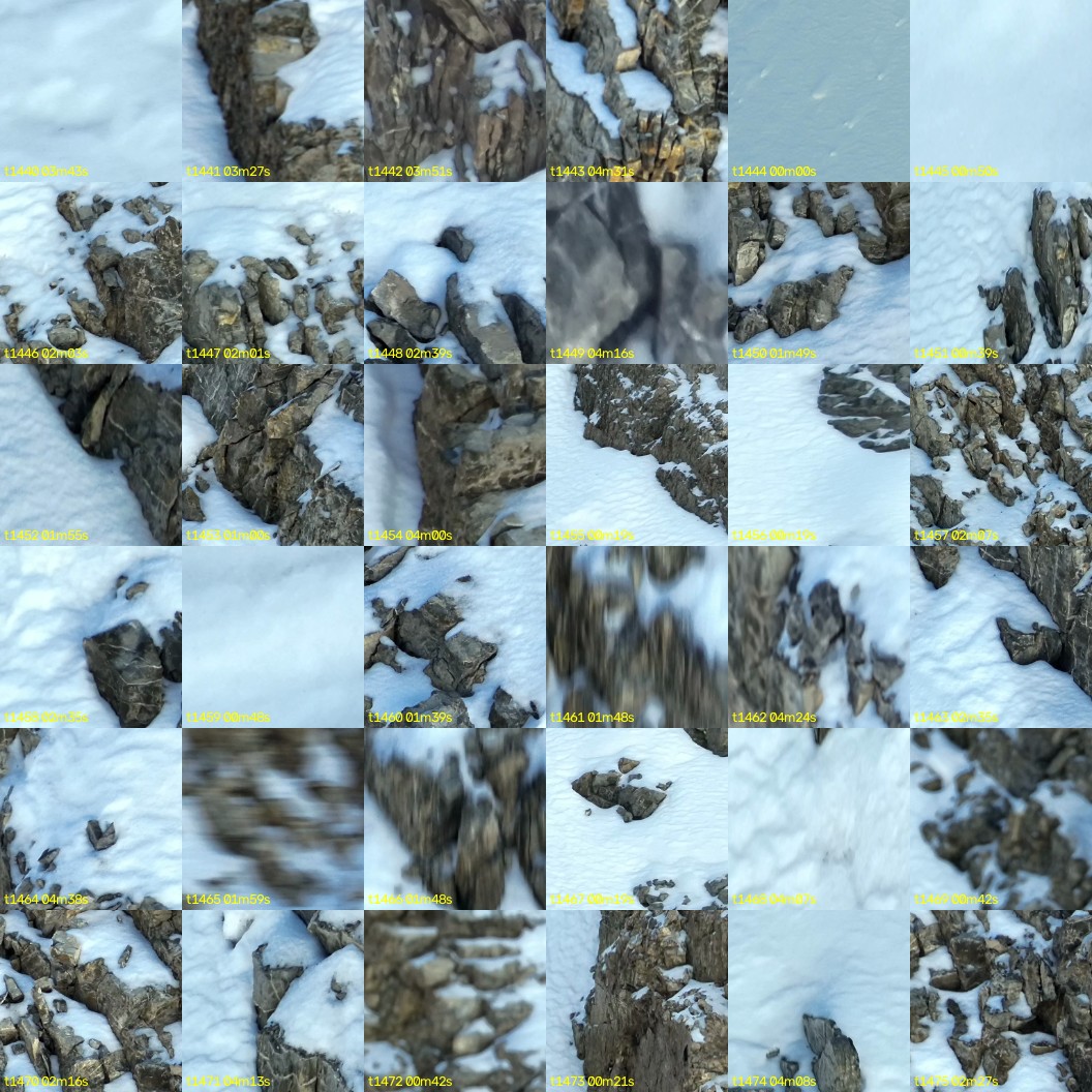 montage_40.jpg