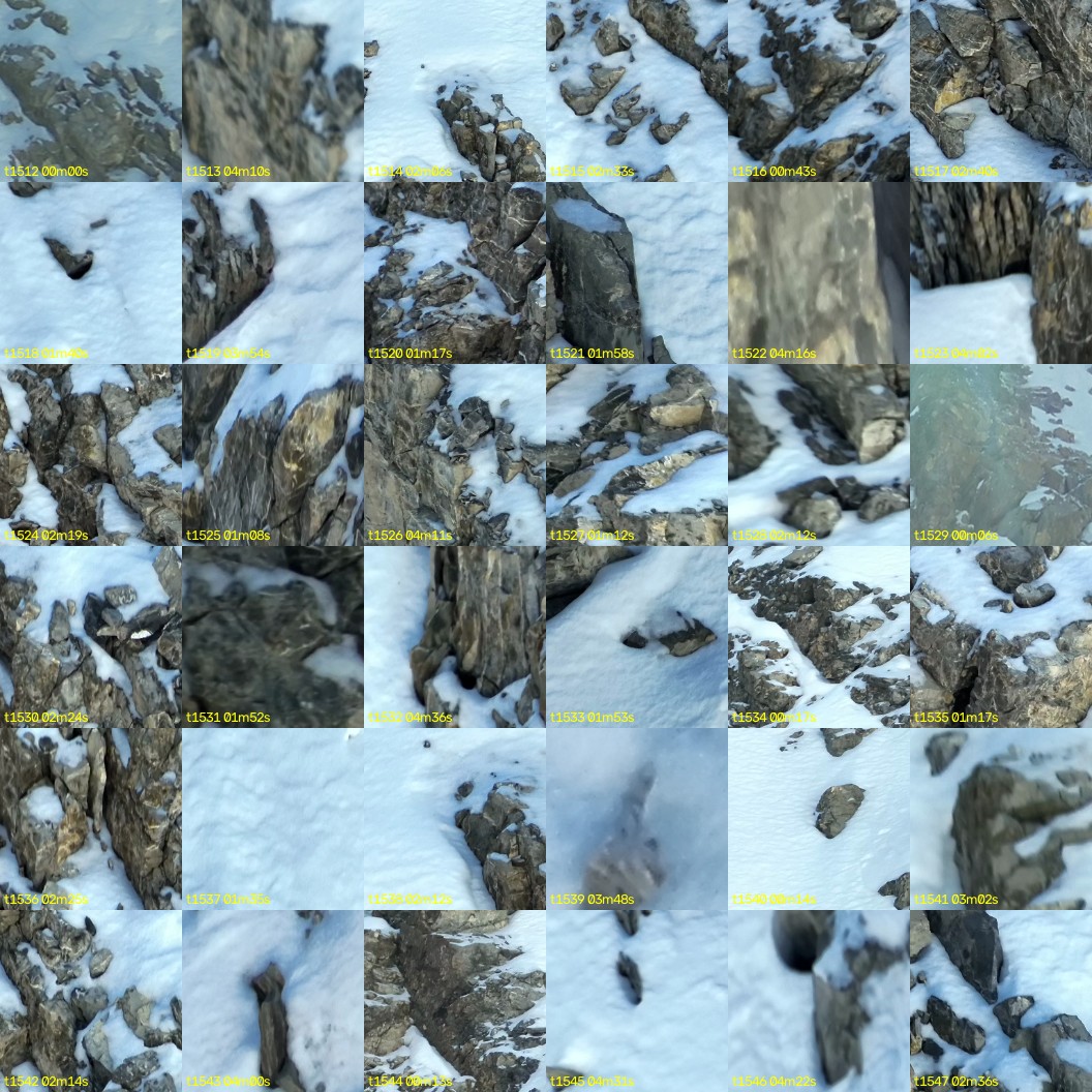 montage_42.jpg