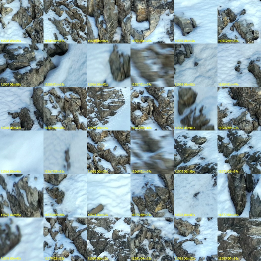 montage_43.jpg