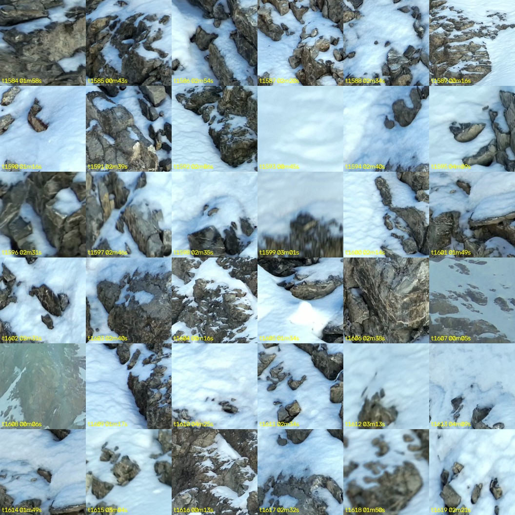 montage_44.jpg