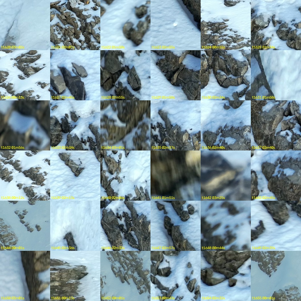 montage_45.jpg