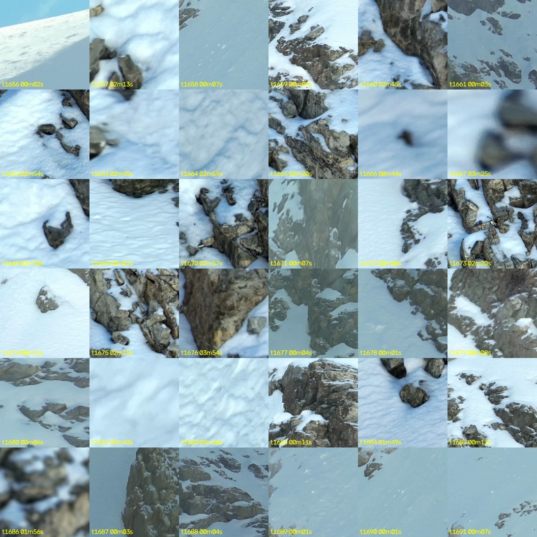 montage_46.jpg