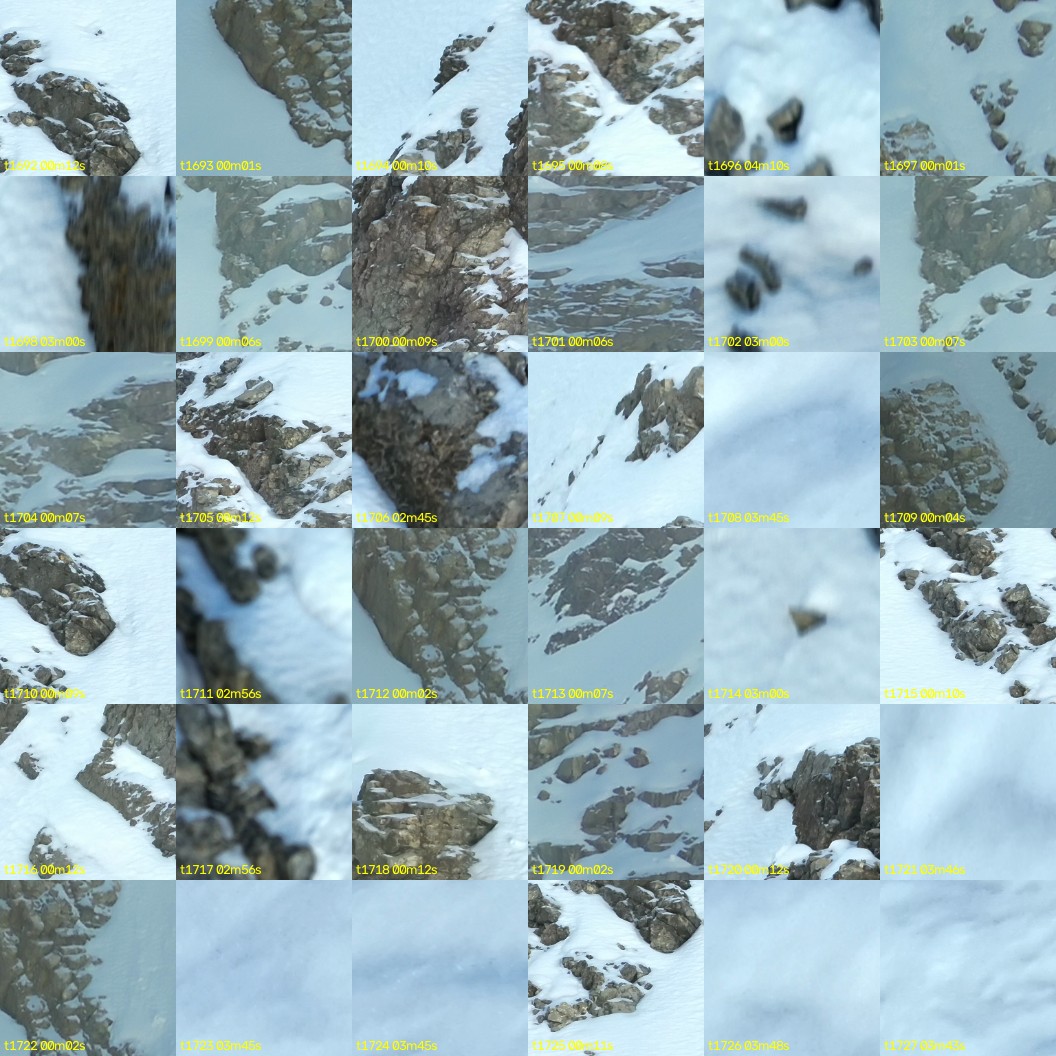 montage_47.jpg