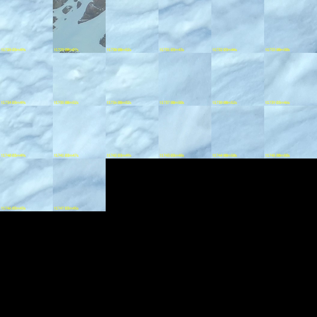 montage_48.jpg