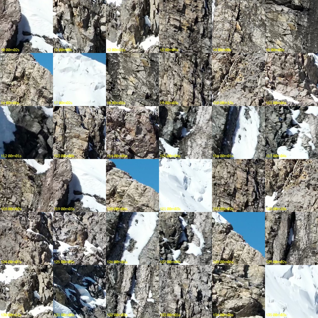 montage_00.jpg