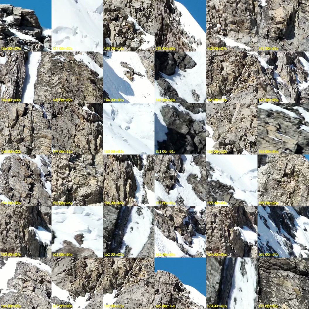 montage_01.jpg