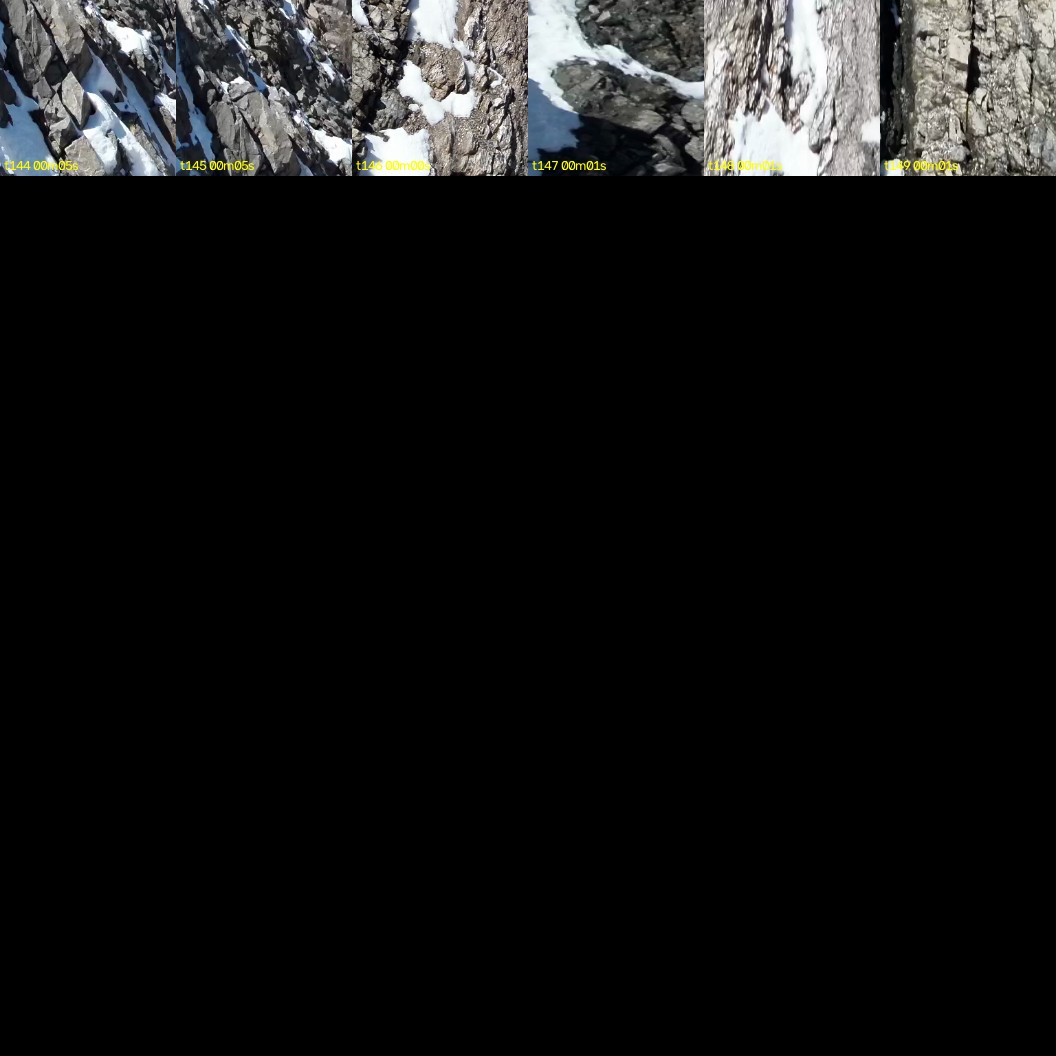 montage_04.jpg