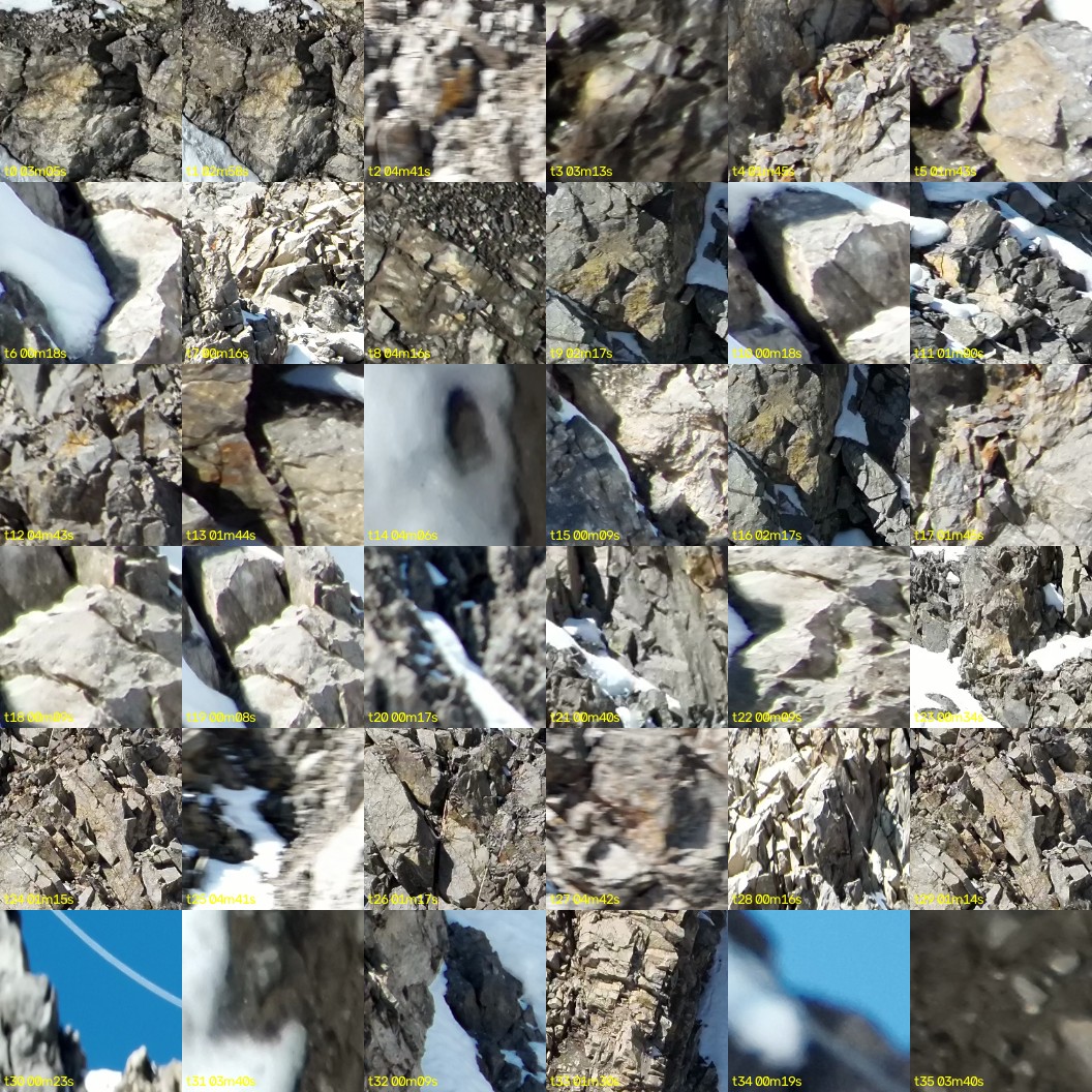 montage_00.jpg