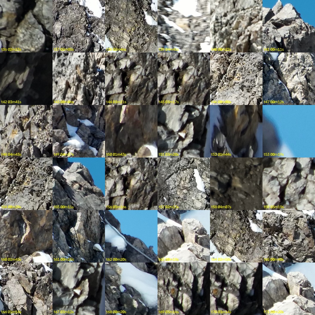 montage_01.jpg