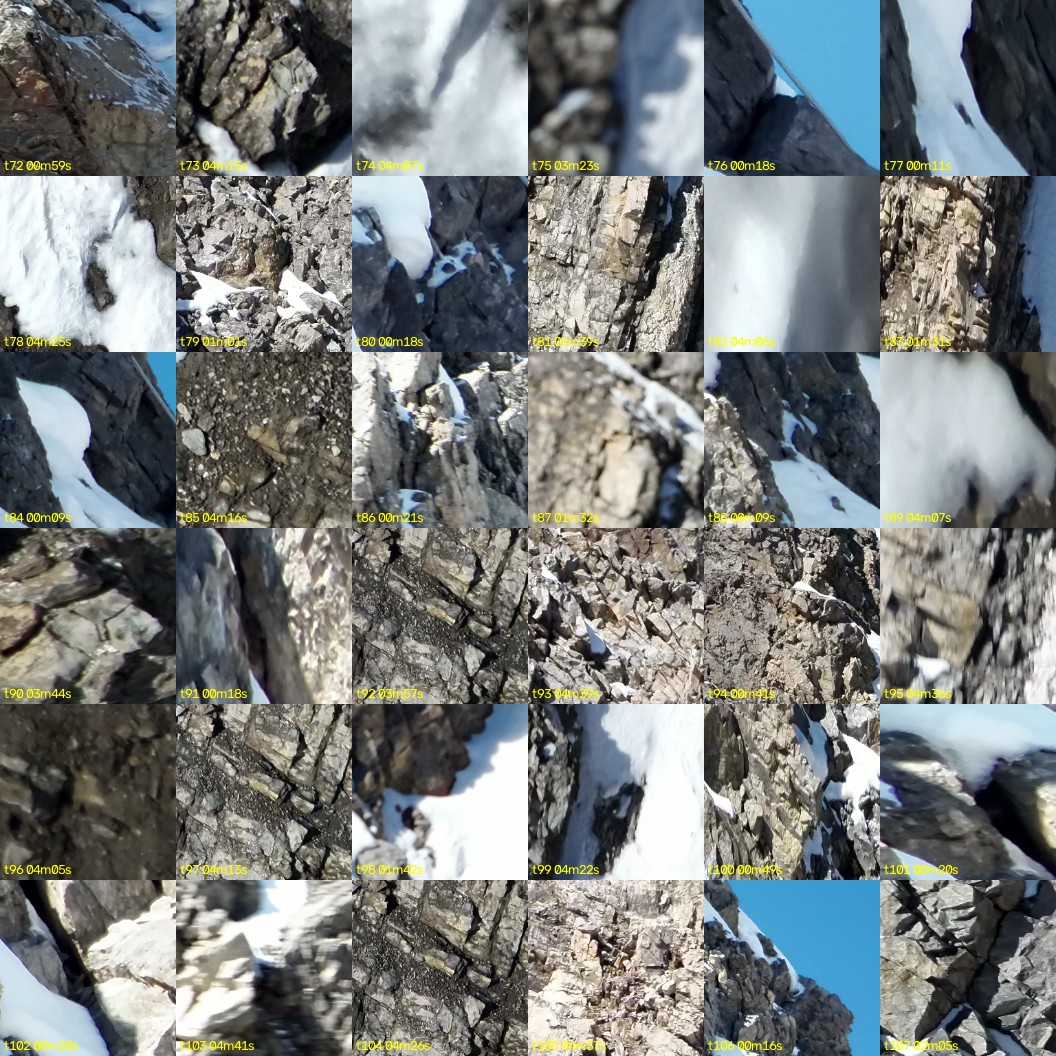montage_02.jpg