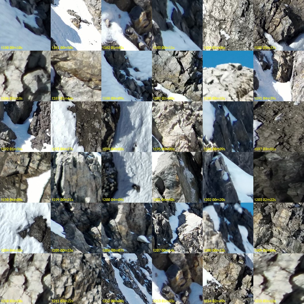 montage_05.jpg