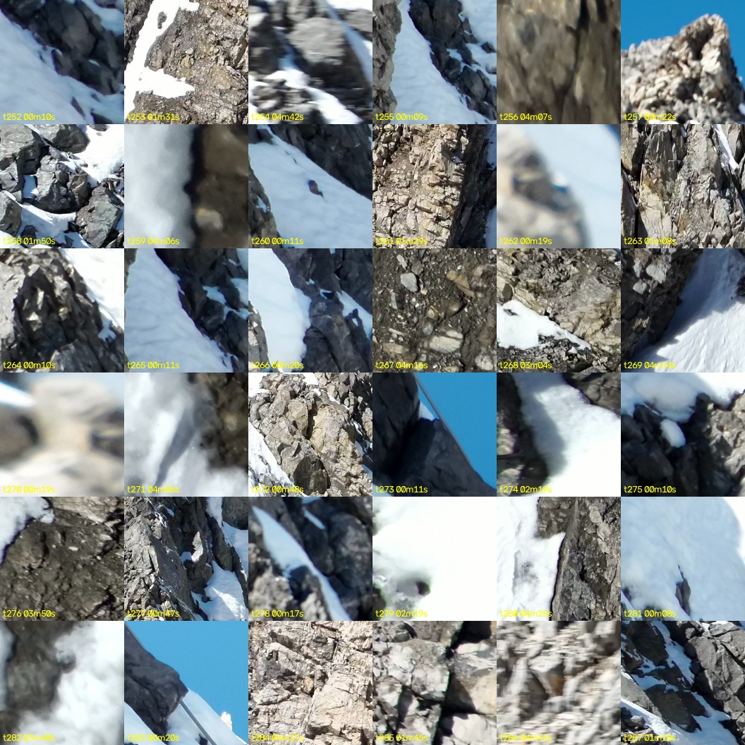 montage_07.jpg