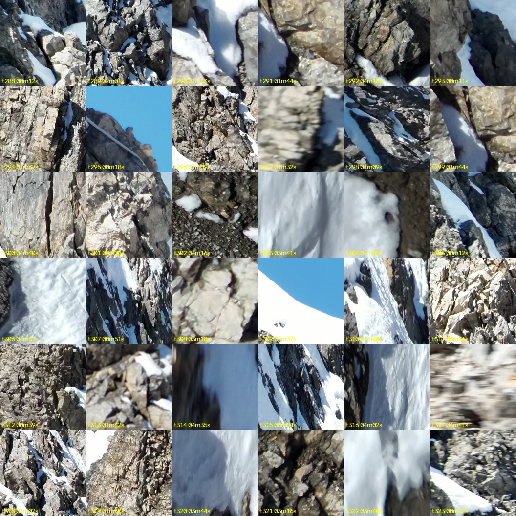 montage_08.jpg