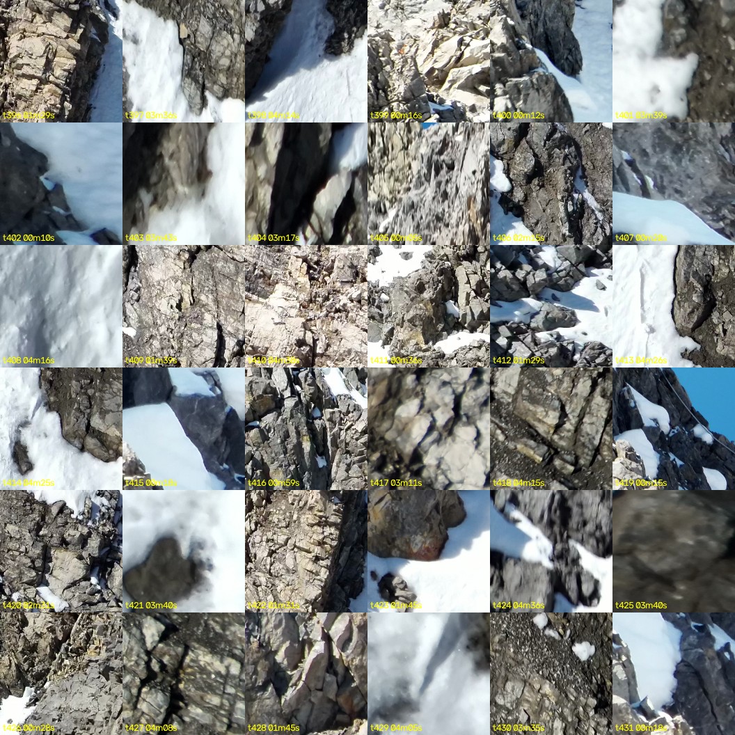 montage_11.jpg